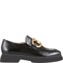 Hogl Fred Black