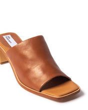 Zoe Kratzmann Establish Toffee